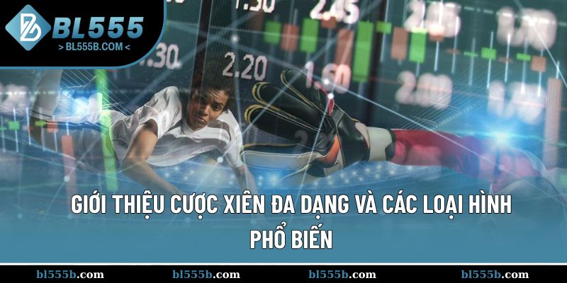 Hình thức cược xiên đa dạng trong thể thao