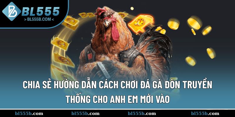 Hướng dẫn chi tiết luật chơi đá gà đòn cho newbie
