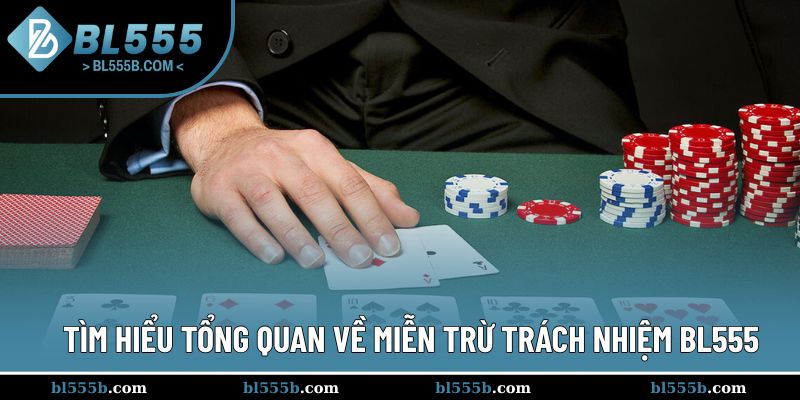 Tìm hiểu về miễn trừ trách nhiệm BL555