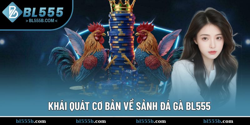 Tổng thể về sảnh đấu đá gà BL555 đầy hấp dẫn