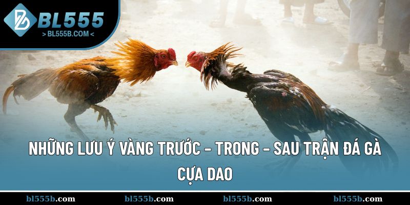 Lưu ý quan trọng giúp anh em dễ dàng chiến thắng