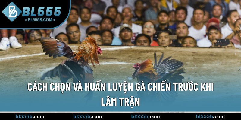 Hướng dẫn cách chọn và huấn luyện để chúng sẵn sàng chiến đấu